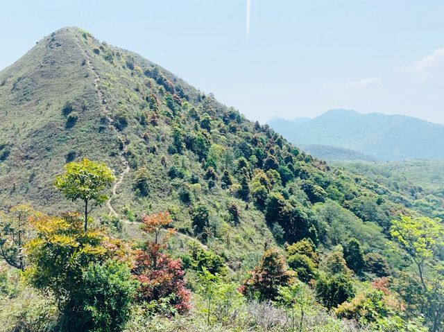 吊手岩