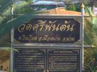 บันทึกเที่ยว @ วัดศรีพันต้น น่าน