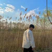 산책하러 가기좋은 공원, 자연을 느낄수 있는 김포핫플🍃