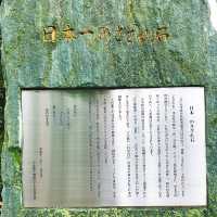 【京都】足腰・病気平癒の「いのしし神社」