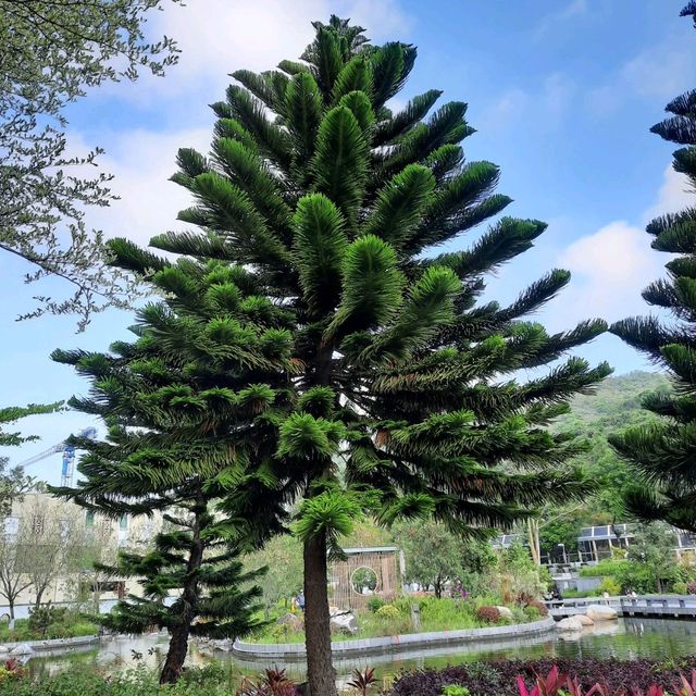 將軍澳坑口文曲里公園