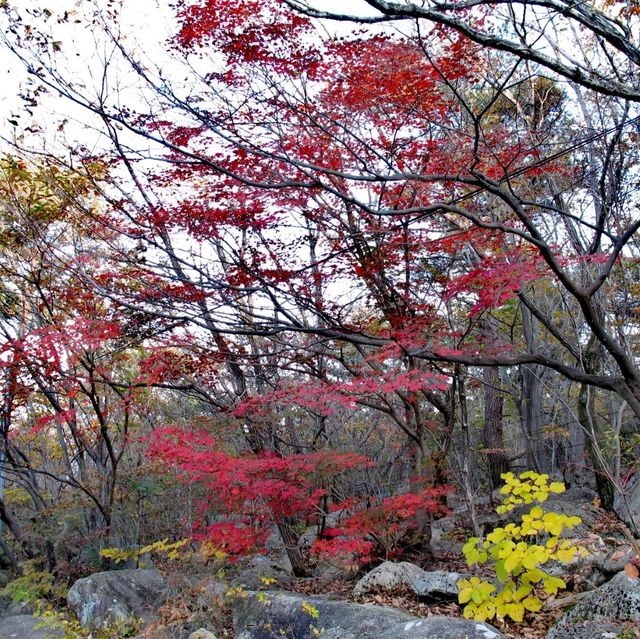 Korean Castle @Busan