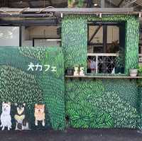 คาเฟ่สำหรับทาสหมาอย่างเรา 🐶