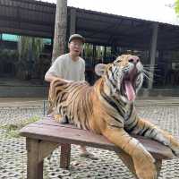 nice trip at Pattaya Tiger Park 