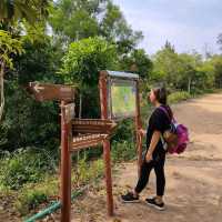 HIKING @north-east coloane...🚶‍♀️