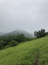 제주도 서쪽 여행,애월 새별오름