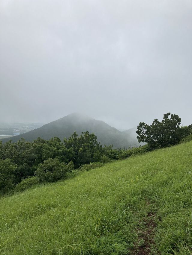 제주도 서쪽 여행,애월 새별오름