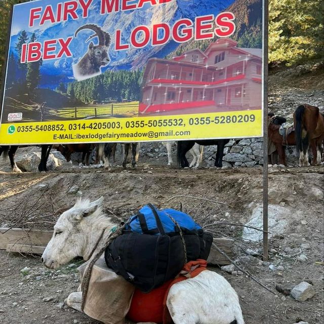 Fairy Meadows 