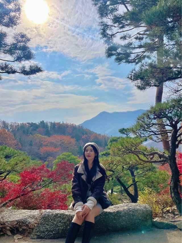 단풍여행에서 꼭 가야할 화담숲✨