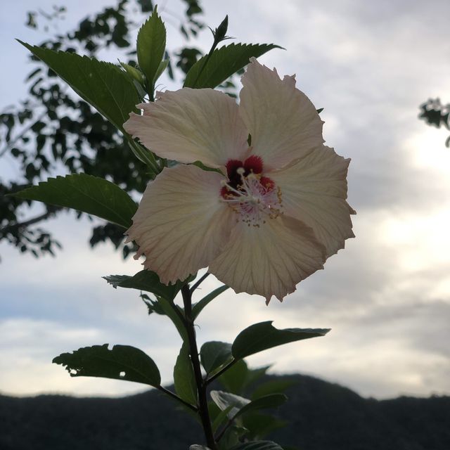 Best viewpoint in Coron! 