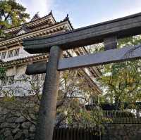 300年的歷史的古蹟 八坂神社