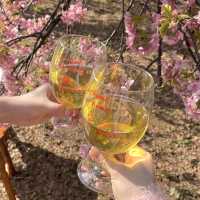 📌mimi picnic rental