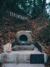 大國魂神社