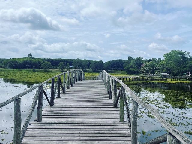สะพานไม้เคี่ยมแหล่งธรรมชาติใกล้ทะเลชุมพร