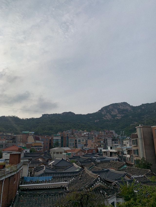 인왕산이 한 눈에 👀,인왕산 대충유원지