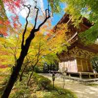 【紅葉巡り】湖東三山 金剛輪寺