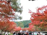 京都[紅葉めぐり]  永観堂(禅林寺)  圧巻の堂内編
