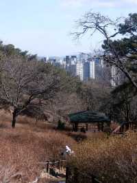 소래산, 가볍게 오르기 좋은 곳