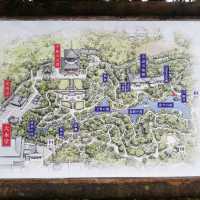 [成田]春の伊吹感じる新勝寺