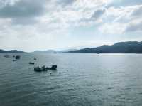 🐬離島自然歷史徑 – 坪洲段 嘆海景🌊