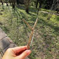 去公園曬太陽