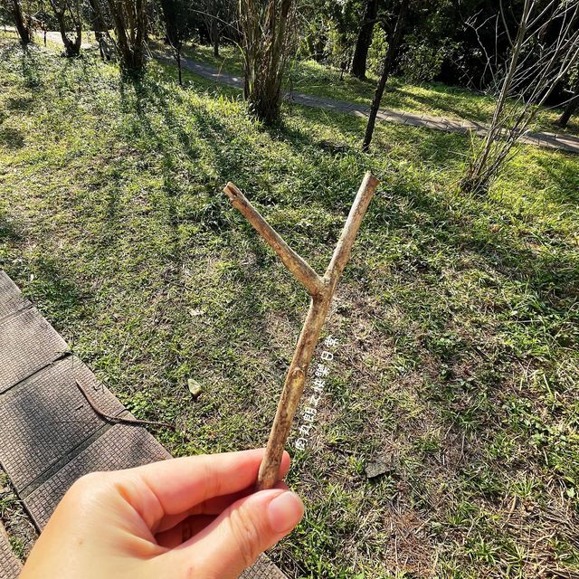 去公園曬太陽