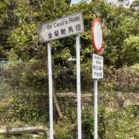 市區行山 - 金督馳馬徑