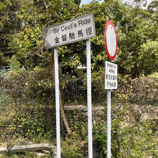 市區行山 - 金督馳馬徑 市區行山 - 金督馳馬徑