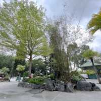 賞花攻略 蝴蝶灣公園