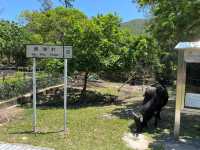 一峰四灣，遠眺香港第一險峰