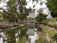 中文大學遊記