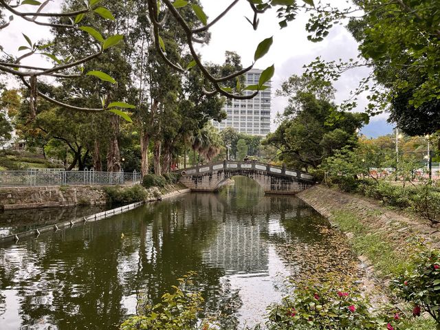 中文大學遊記
