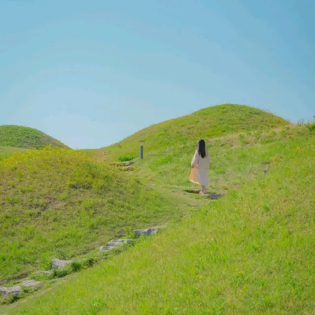 [푸릇푸릇 초롯빛으로 뒤덮힌 대구, 불로동고분군🌿]