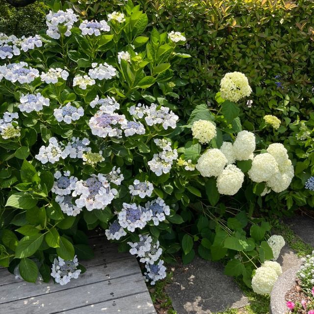 江坂公園めちゃくちゃ広すぎる😳⸜🌷︎⸝‍