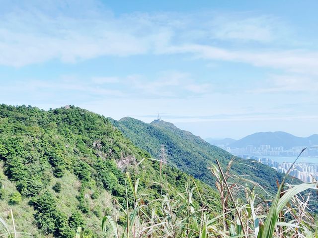 飛鵝山觀景台