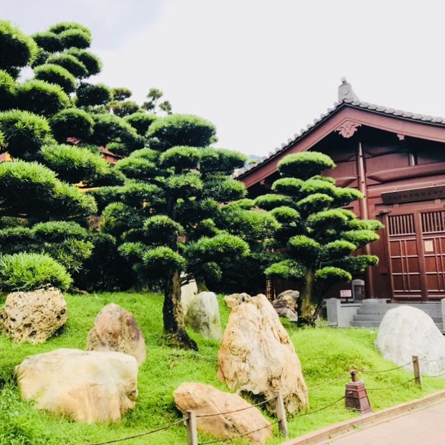 ［🪷南蓮園池🪷］