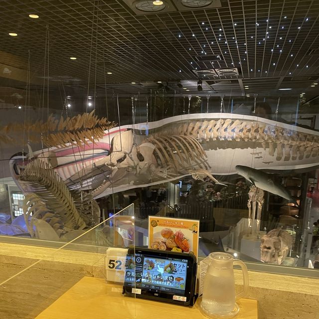 【東京都】国立科学博物館の展示をみながら食べれるレストラン