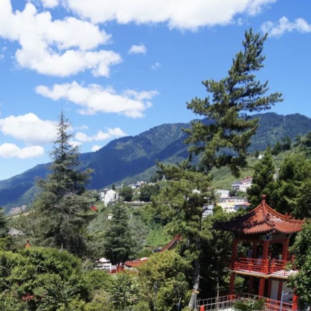 台灣最高宮殿旅館｜梨山賓館⛩