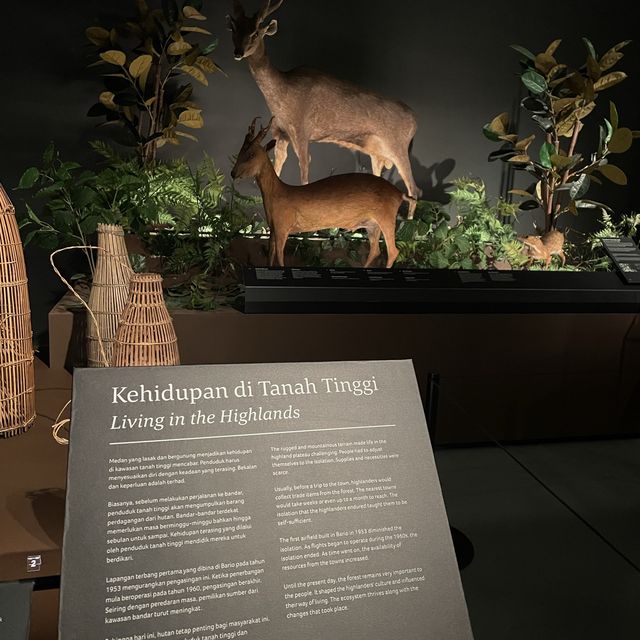 Borneo Cultures Museum ~ Kuching