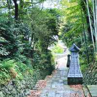 【長崎県】平戸を代表する景色に想いを巡らせる旅！