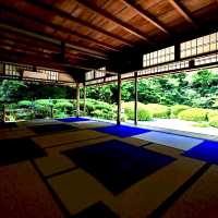 【京都】名庭園と光と影
