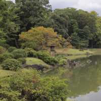 【六義園】秋・都心の自然でリフレッシュ