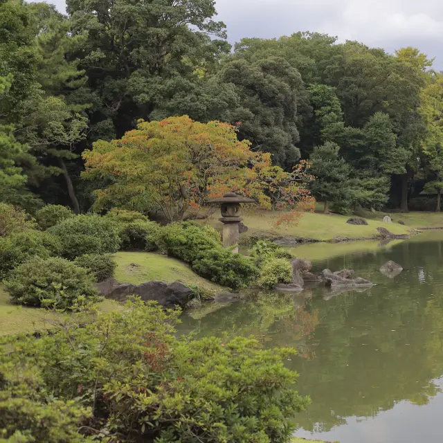 【Rikugien Garden】Autumn・Refreshing in the Nature of the City Center 🍂🌳💆‍♂️