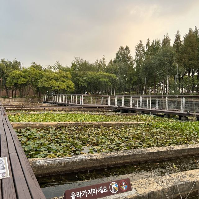 Amazing small island park in Seoul