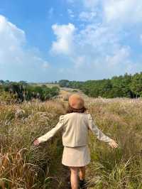 제주 가을감성 가득한 곳, ‘산굼부리’