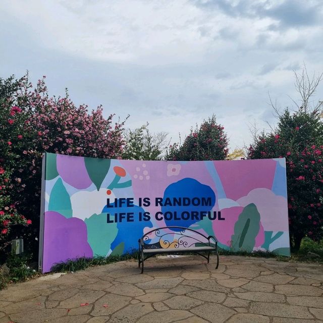 제주핫플레이스를 가다