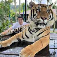 布吉島🐯樂園