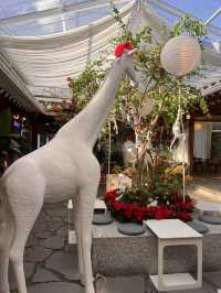 韓国/ソウル【益善洞】キリンやライオンのオブジェがある🦒🦁広々としたカフェ