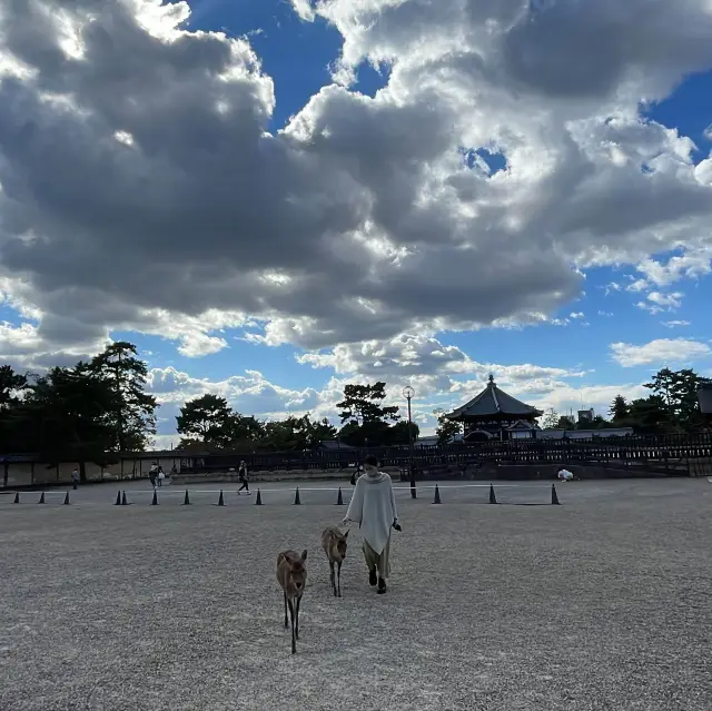 2022奈良一日遊