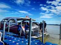 อุทยานแห่งชาติหมู่เกาะสุรินทร์ ปะการังยืนหนึ่ง 